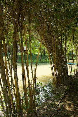 vn_september_15_00027